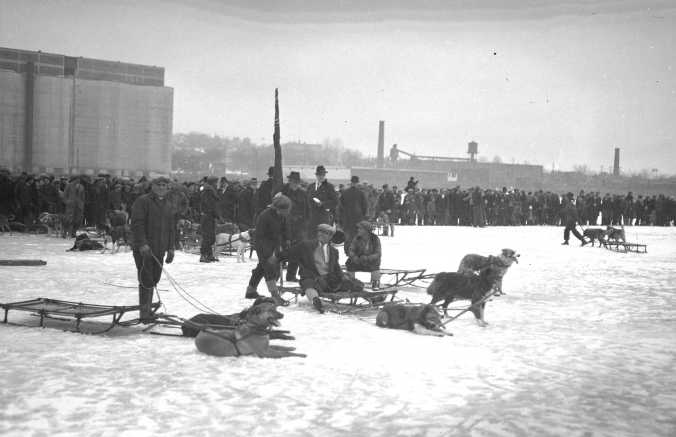 Dog races in Midland Harbour, date unknown.