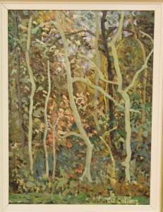 2008-0043-0001-medonte-spring