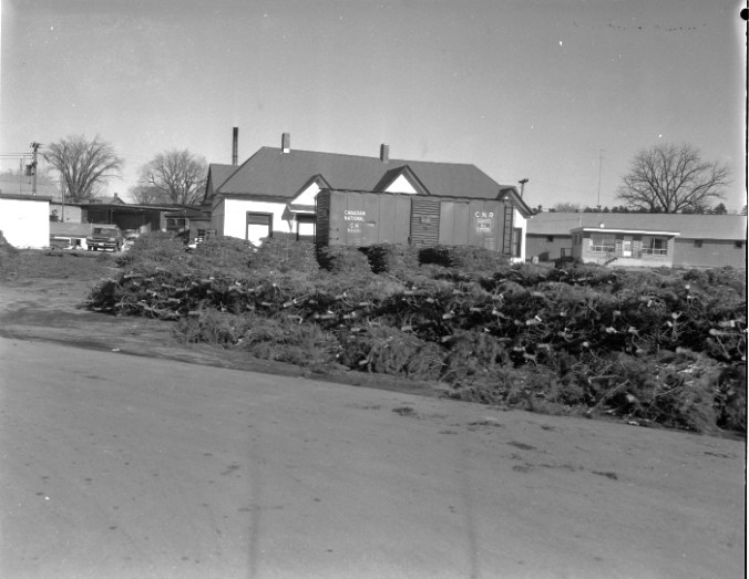 1994-0132-0036-loading-trees-cnr